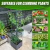 2-Pack 44.8" Self-Watering Tomato Planter with Trellis – Heavy-Duty Indoor & Outdoor Raised Garden Box, Built-in Trapezoid Climbing Grid for Tomatoes